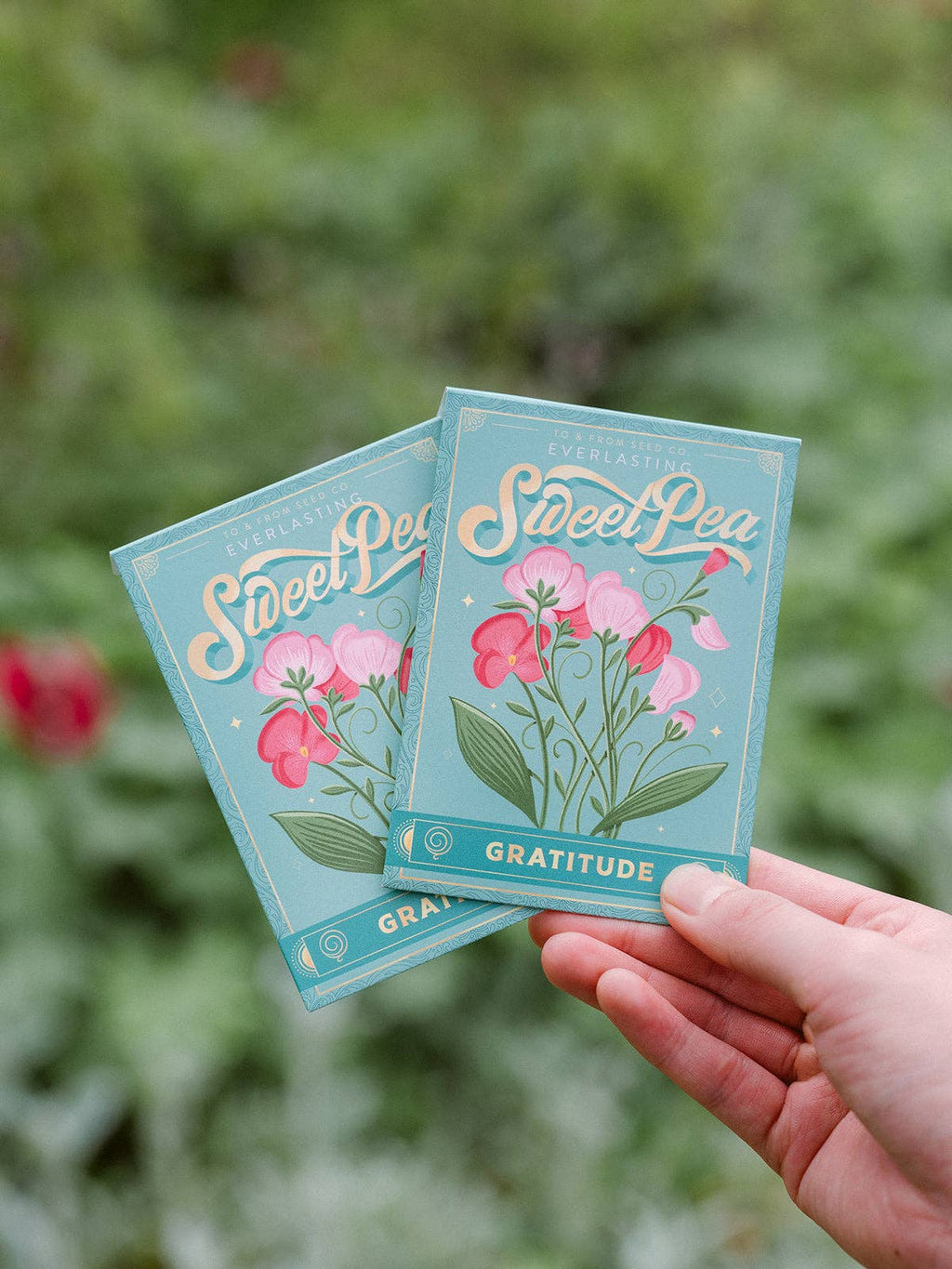 Seed Packet - Sweet Pea Flowers (Gratitude) - Gold Foil