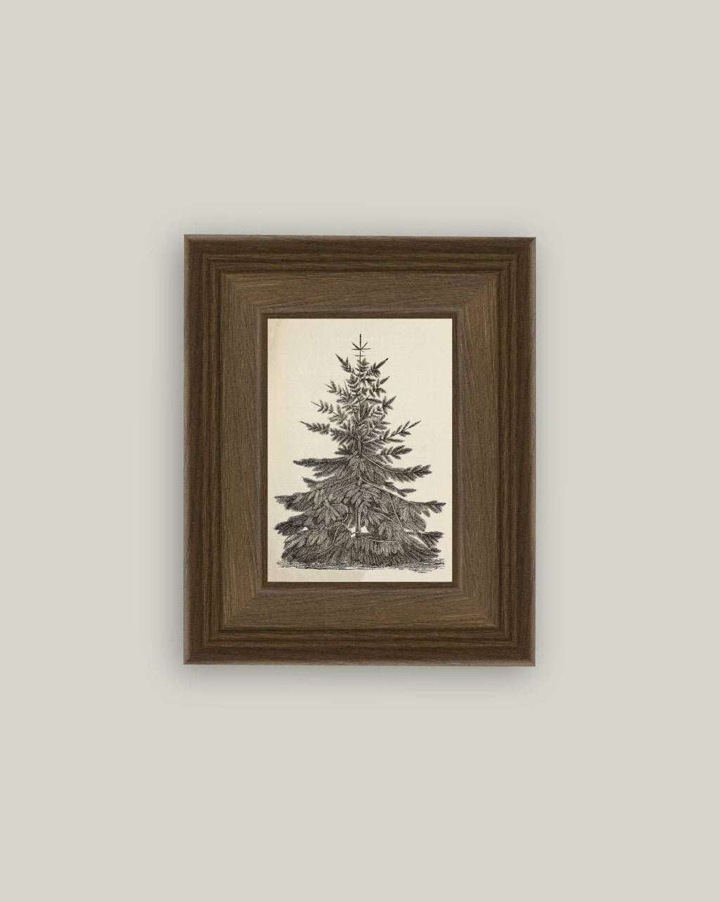 Vintage Pine Tree Framed Antique Art