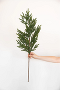 Real Touch Faux Norfolk Stem image 0