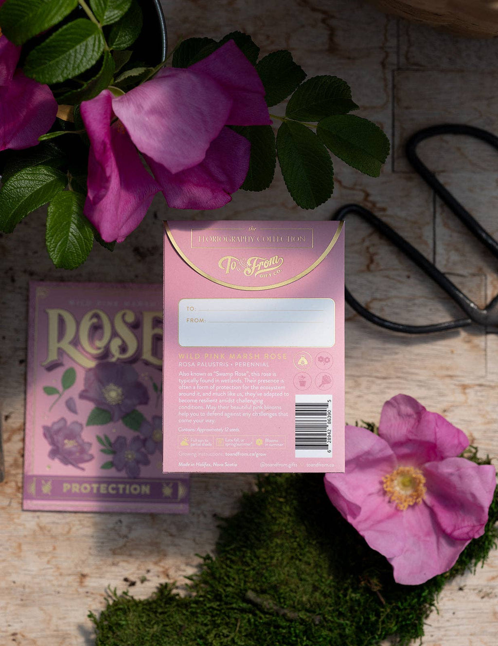 Seed Packet - Wild Rose (Protection) - Gold Foil