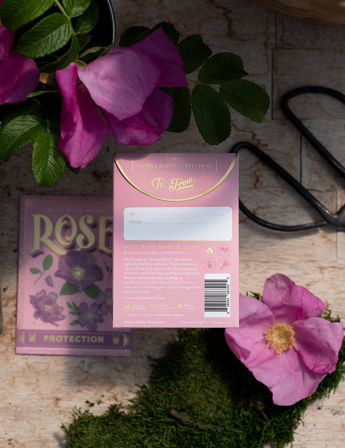 Seed Packet - Wild Rose (Protection) - Gold Foil