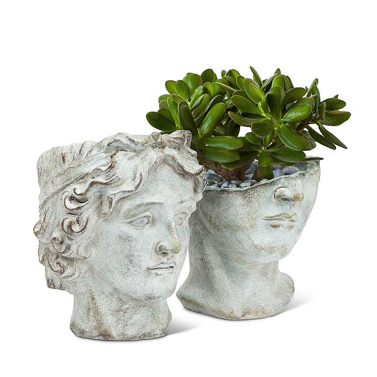 Men Head Planter