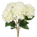 Hydrangea Stems