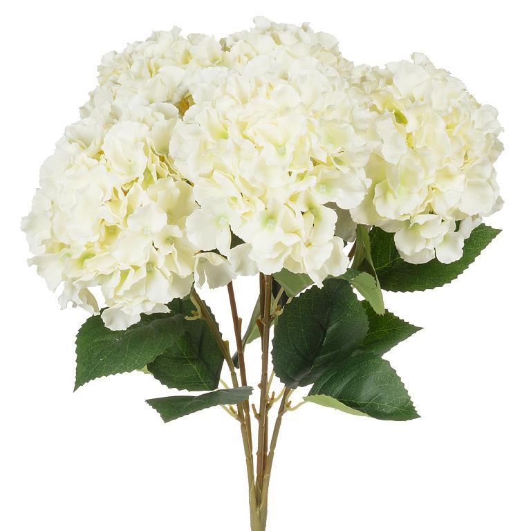 Hydrangea Stems