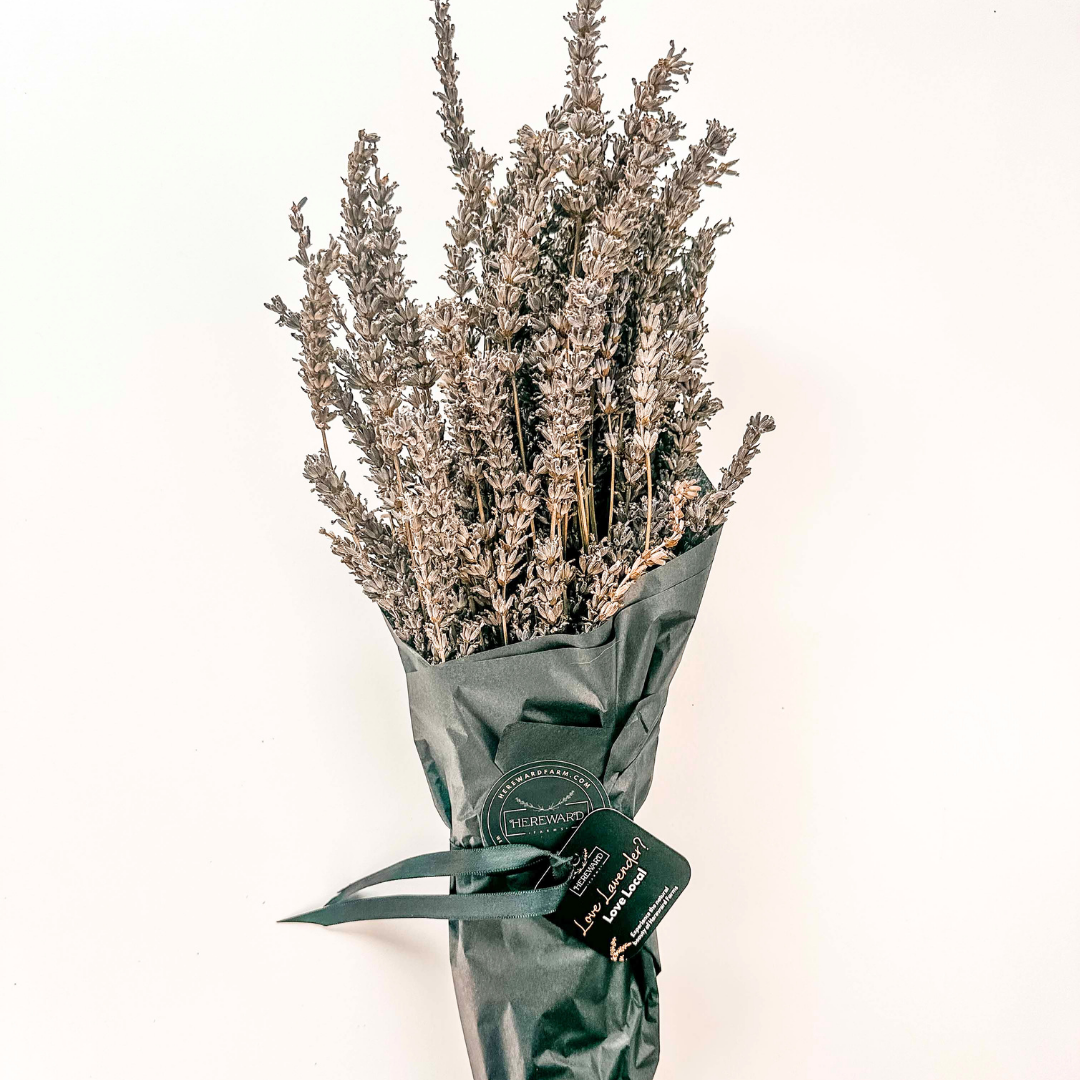 Lavender | Dried French Lavender Bunch