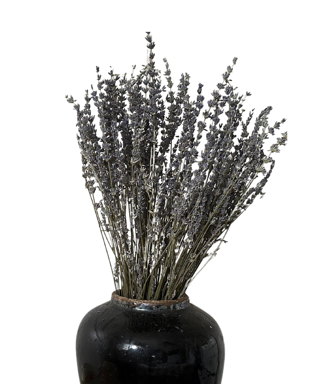 Lavender Bundle image 0