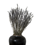 Lavender Bundle image 0