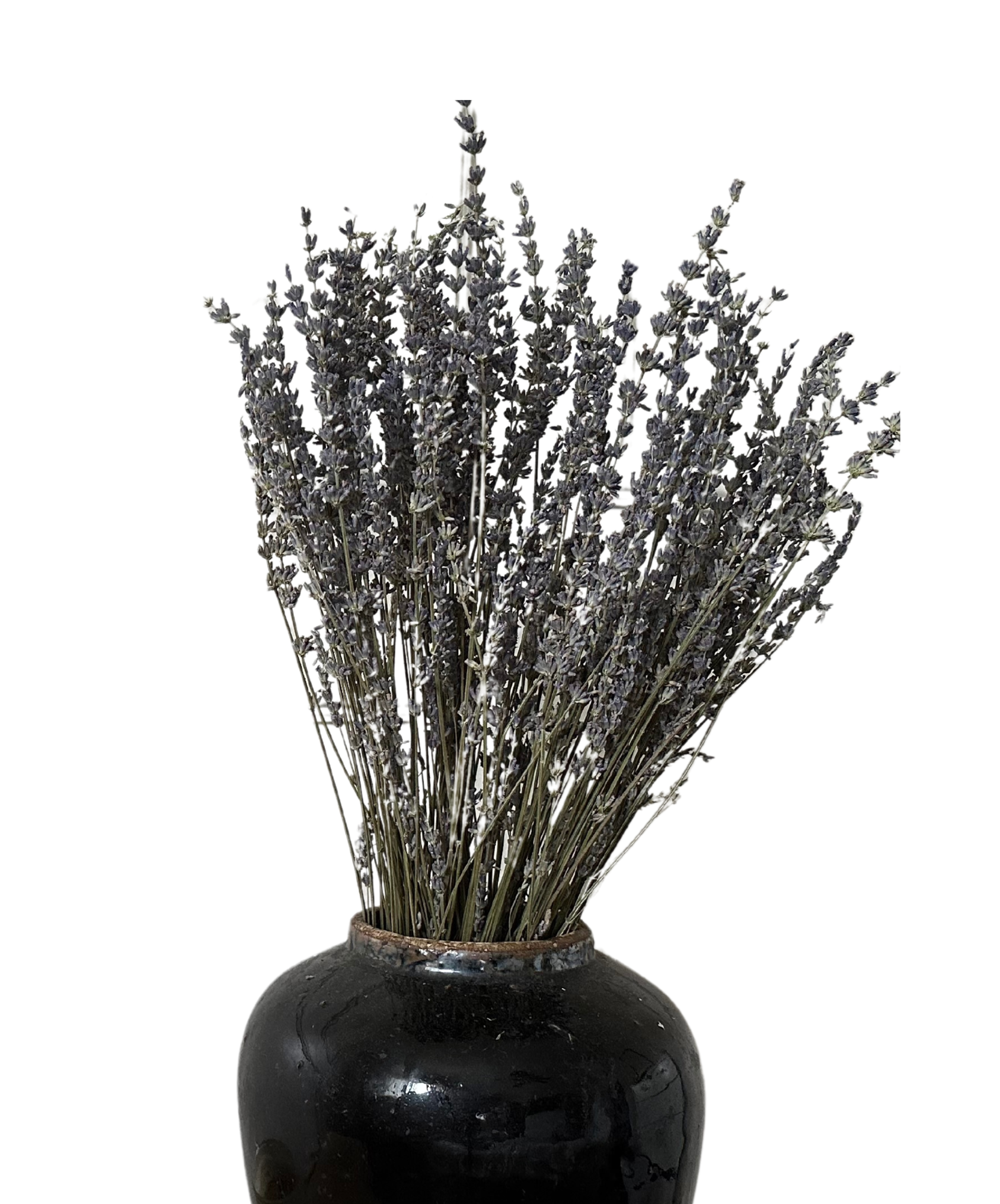 Lavender Bundle image 0