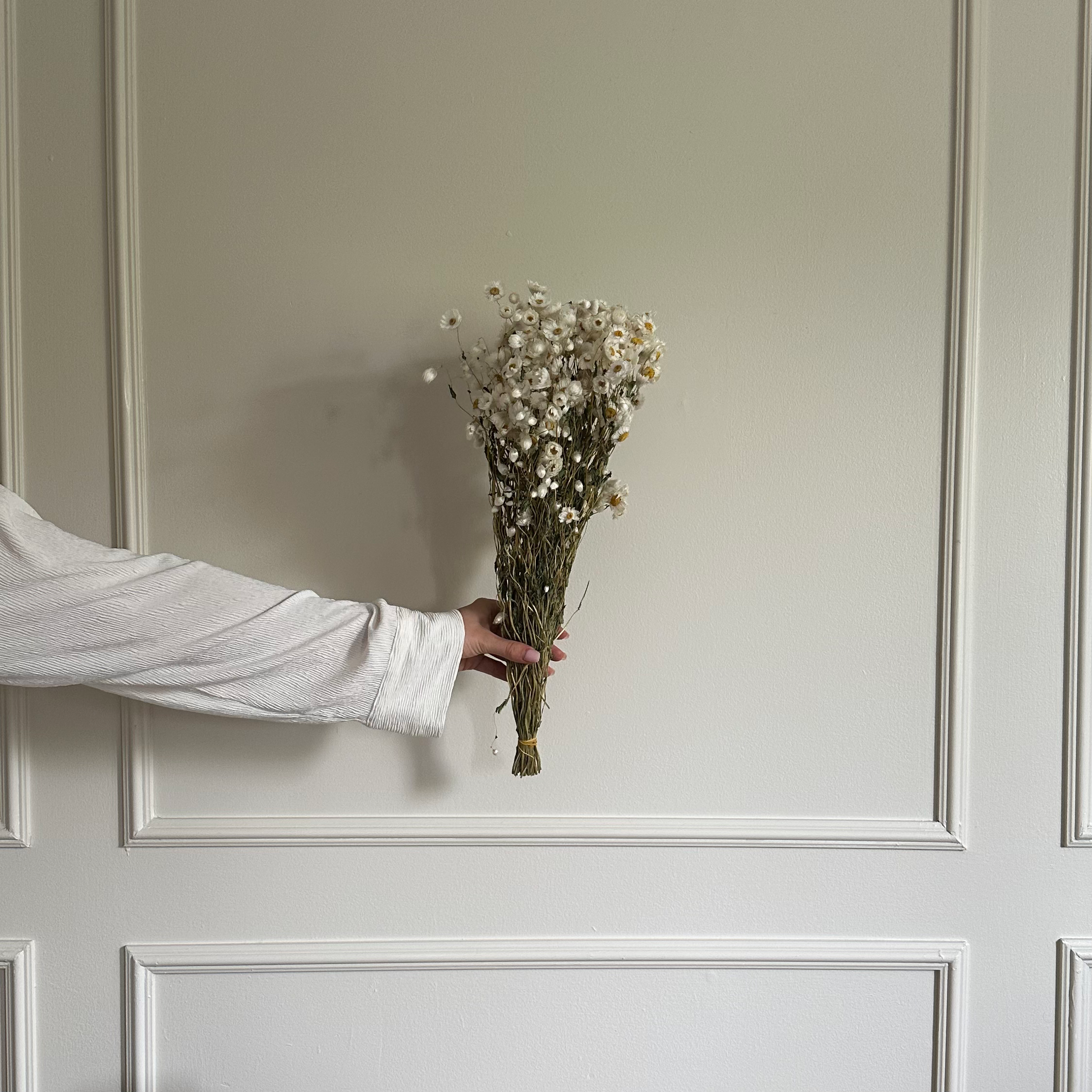 Dried Rodanthe Flower Bundle image 1