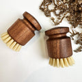 Plastic Free Kitchen Brush with Natural Bristles