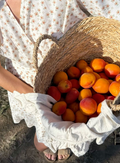 Summer Harvest Candle Class - August 22