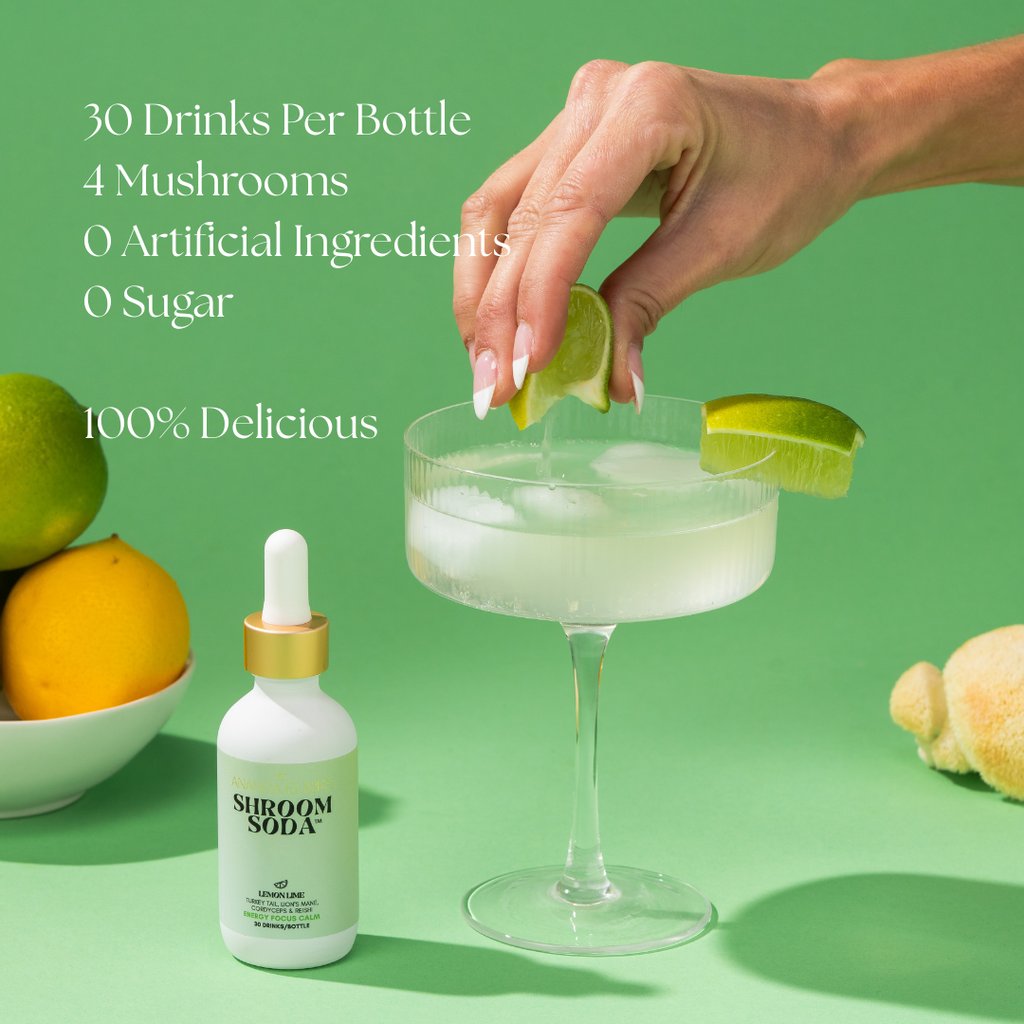 Ananda Shroom Soda®