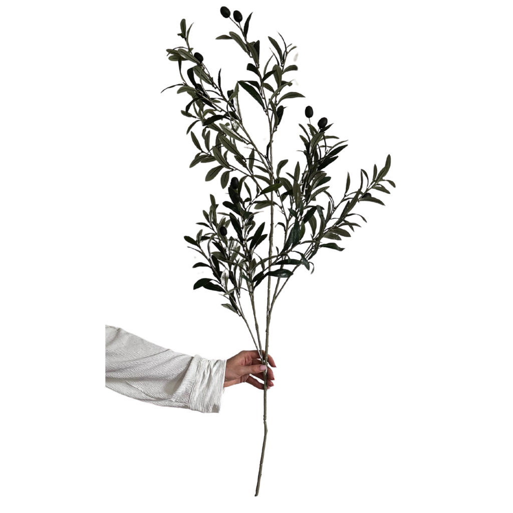 Faux Olive Stem image 0