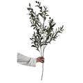 Faux Olive Stem image 0