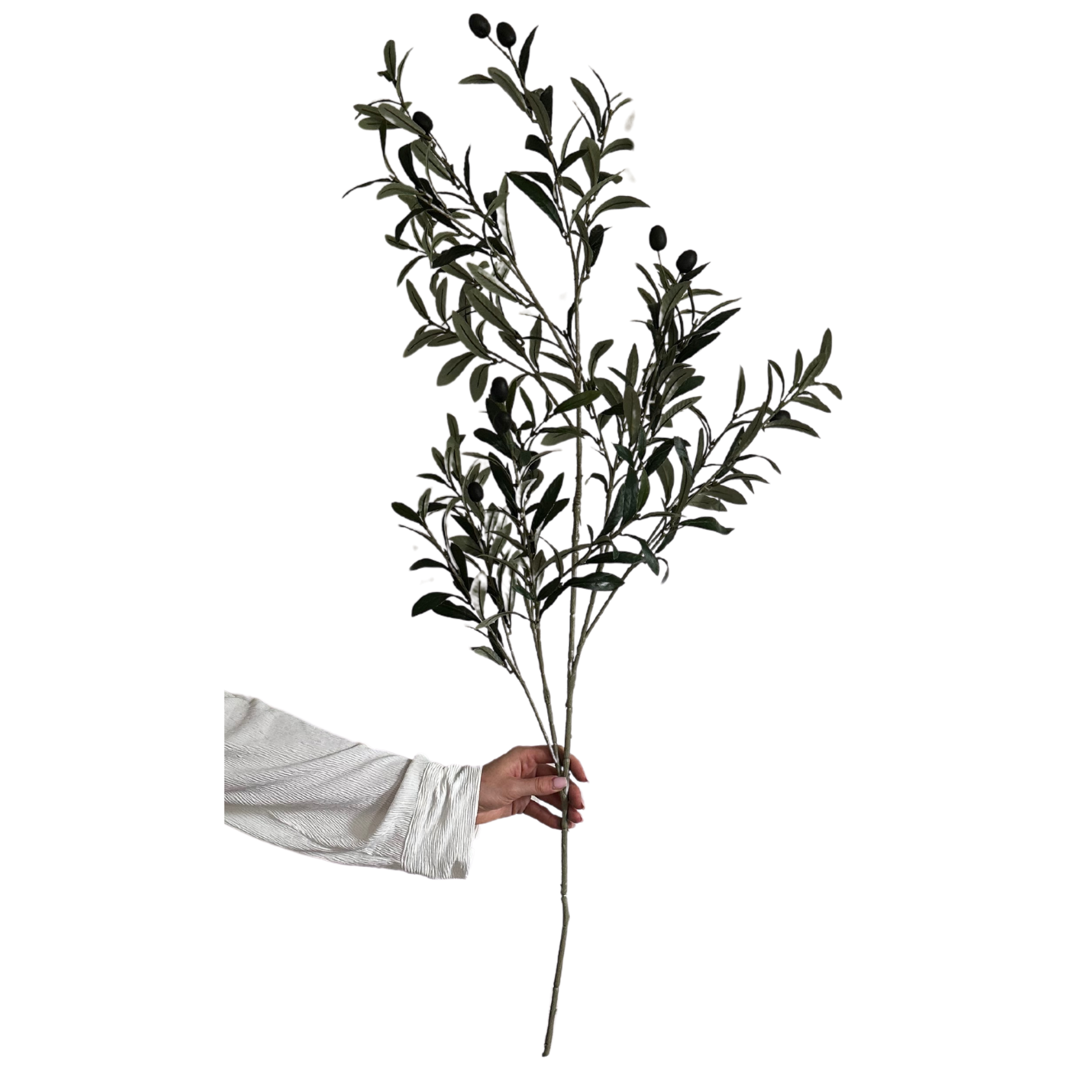 Faux Olive Stem image 0