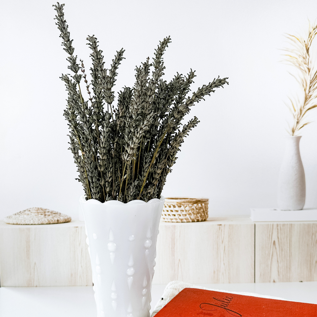 Lavender | Dried French Lavender Bunch