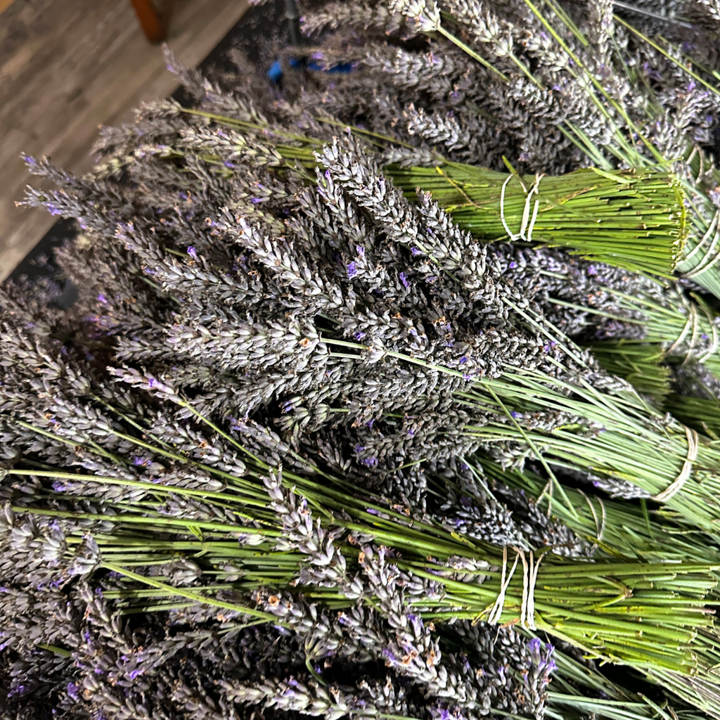 Lavender | Dried French Lavender Bunch
