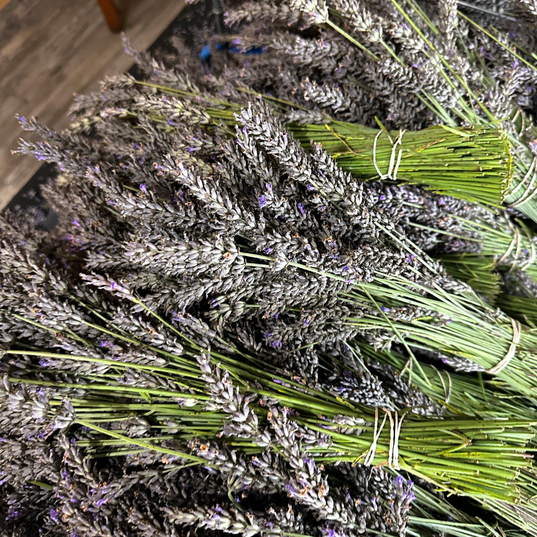 Lavender | Dried French Lavender Bunch