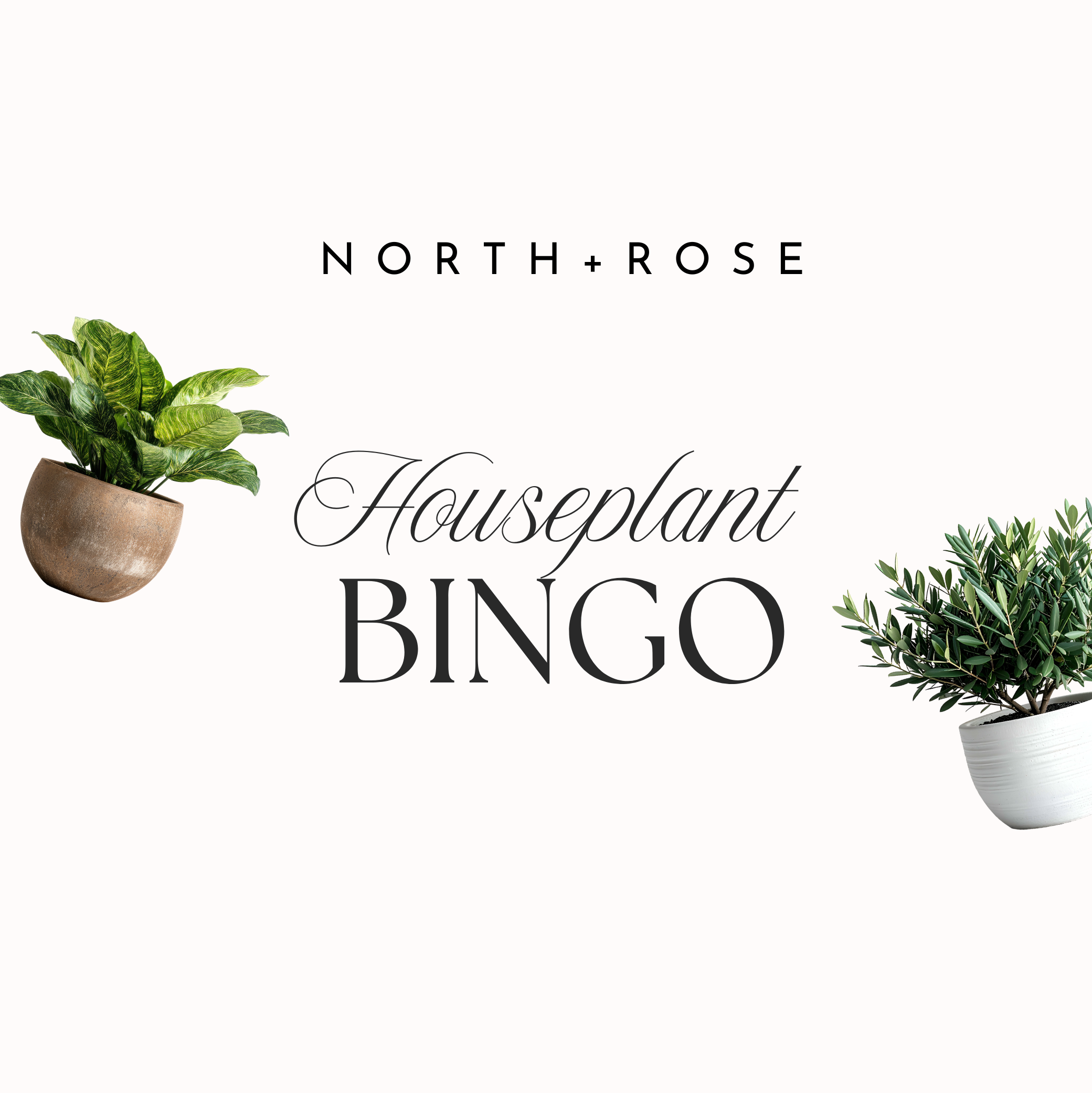 Plant Bingo - June 25